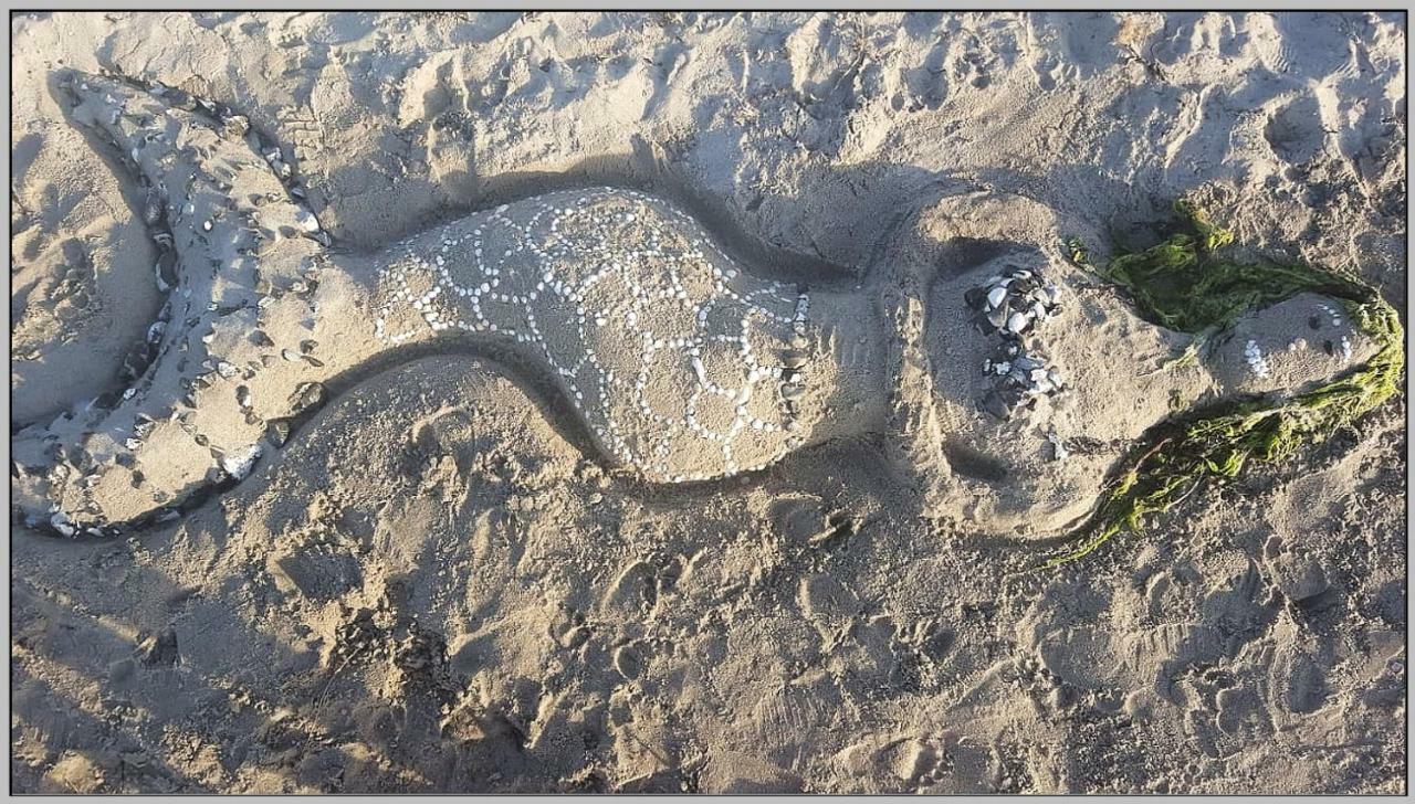 Ddr Wohnwagen Qek Direkt Am Strand Dranske Εξωτερικό φωτογραφία